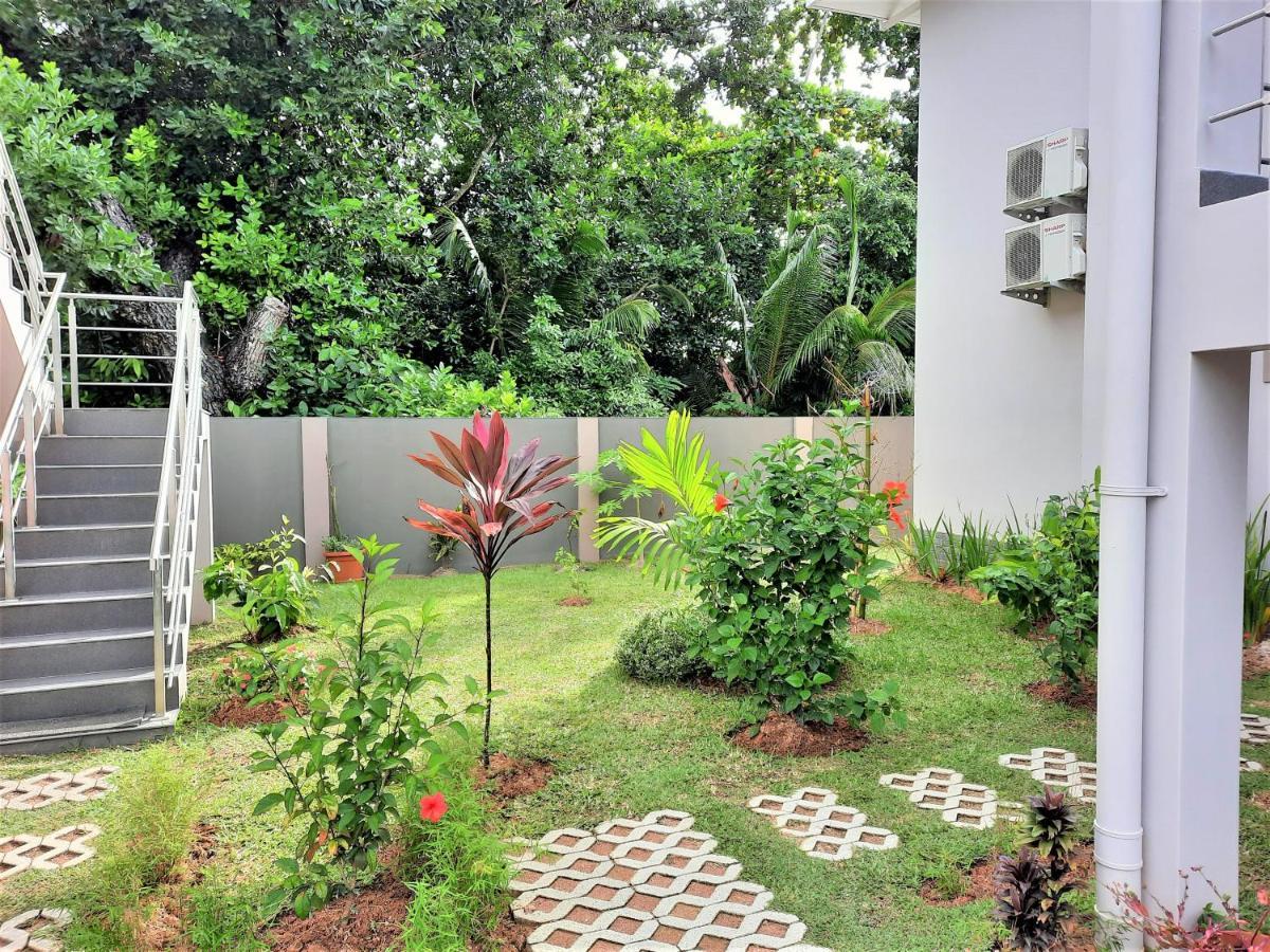 Palm Apartment