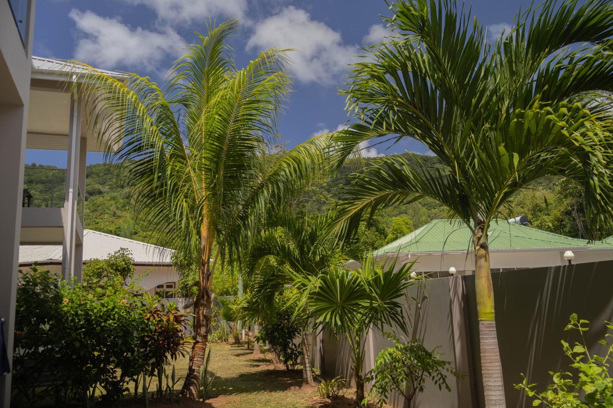Palm Apartment *