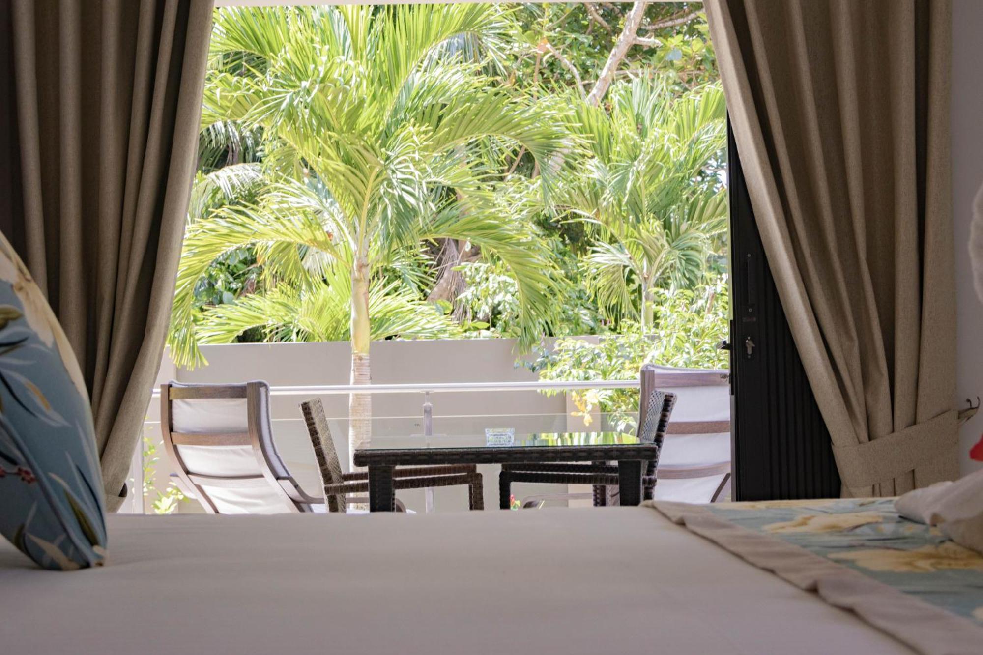 Palm Grand Anse (Praslin)