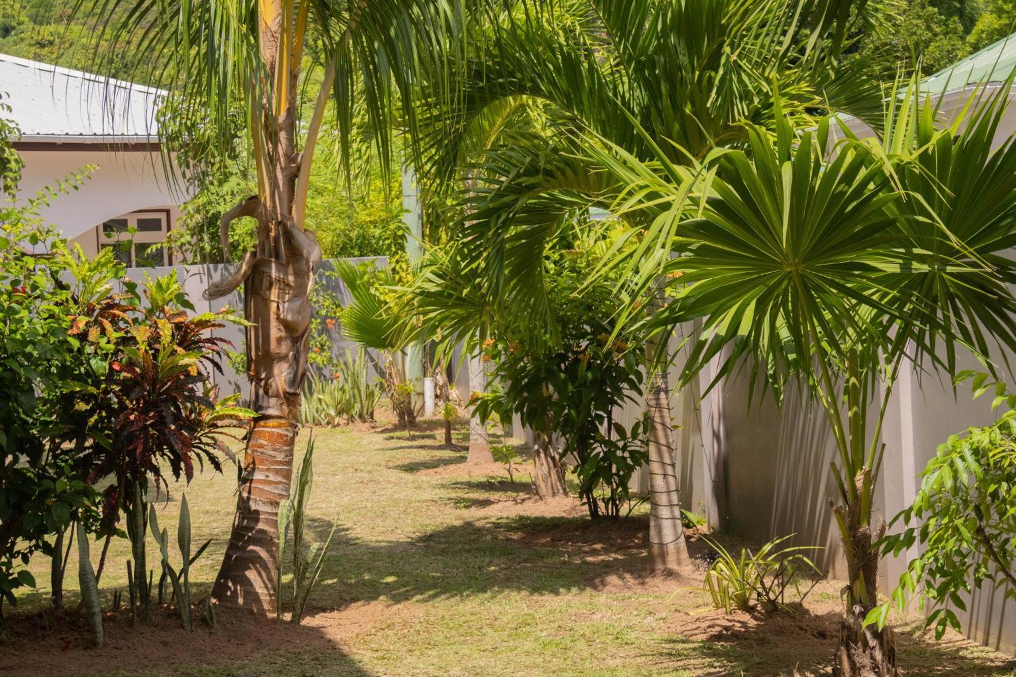 Palm Apartment